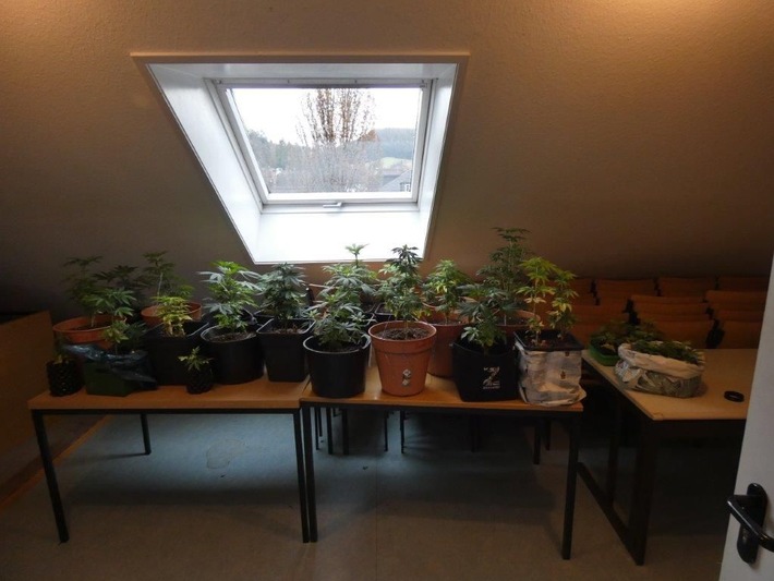 POL-KN: (Schiltach, Lkrs. RW) Polizei stellt Cannabis-Pflanzen sicher