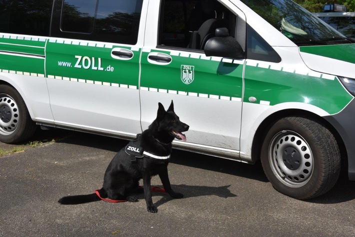 HZA-FF: Zollhund Rosko wieder erfolgreich