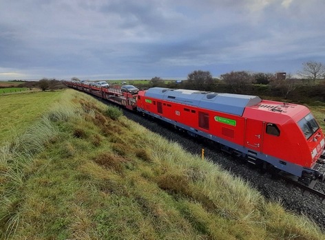 BPOL-FL: Morsum - Autozug kollidiert mit Rinderherde