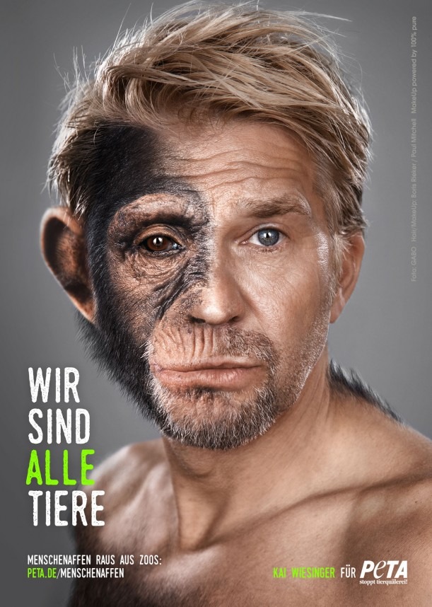 "Wir sind alle Tiere!": Kai Wiesinger wird zum Schimpansen / Neue PETA-Kampagne "Menschenaffen raus aus Zoos"