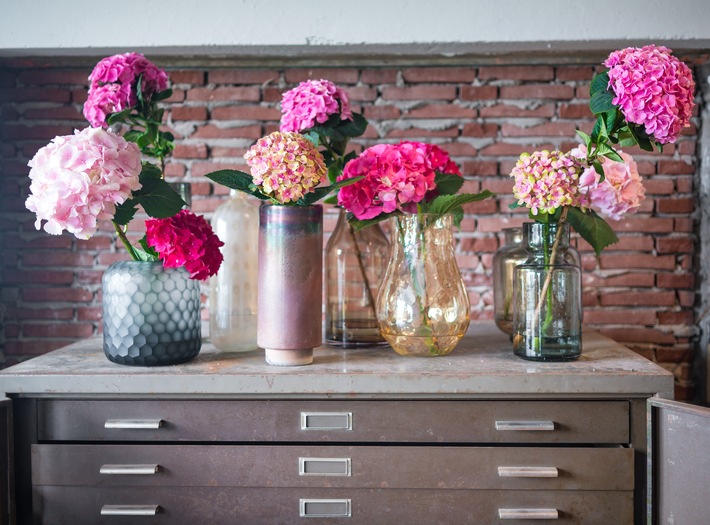 Hortensien in Vasen für lebendigen Look / Für echtes Sommer-Feeling: die Hortensie als Schnittblume