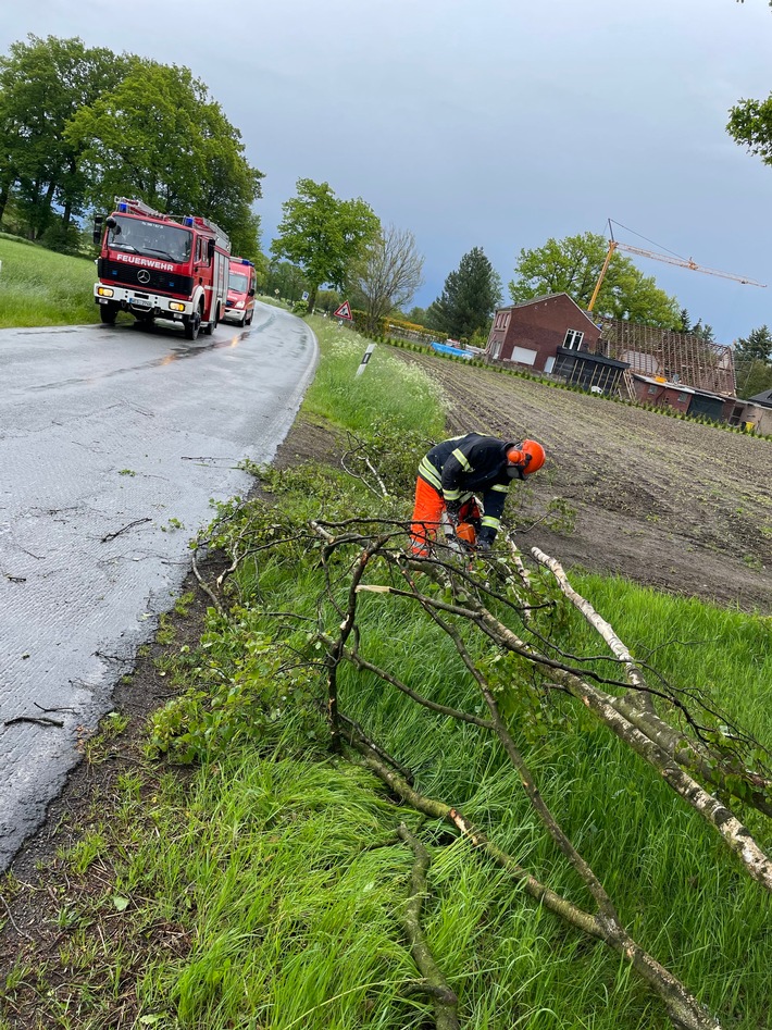 FW-Schermbeck: Baum auf Fahrbahn