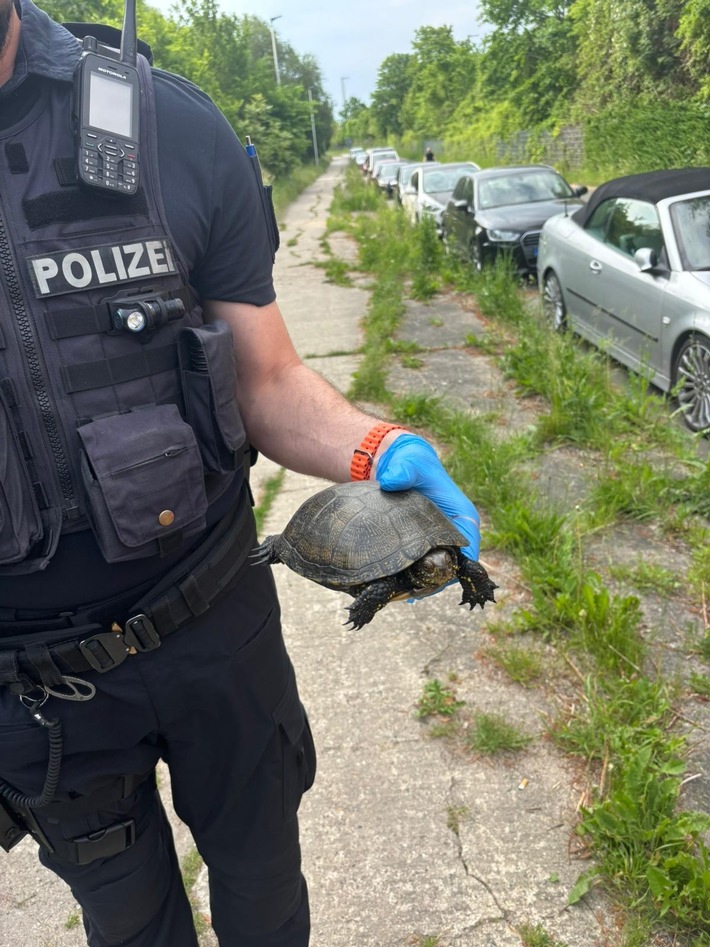 POL-NB: Langsamer Verkehrsteilnehmer sorgt für ungewöhnlichen Einsatz