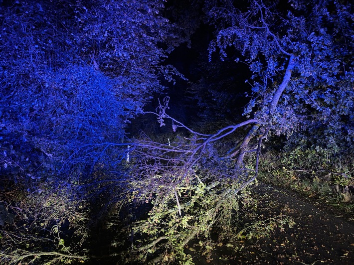 FW-Velbert: Erste Herbststürme sorgen für zahlreiche Feuerwehreinsätze ...
