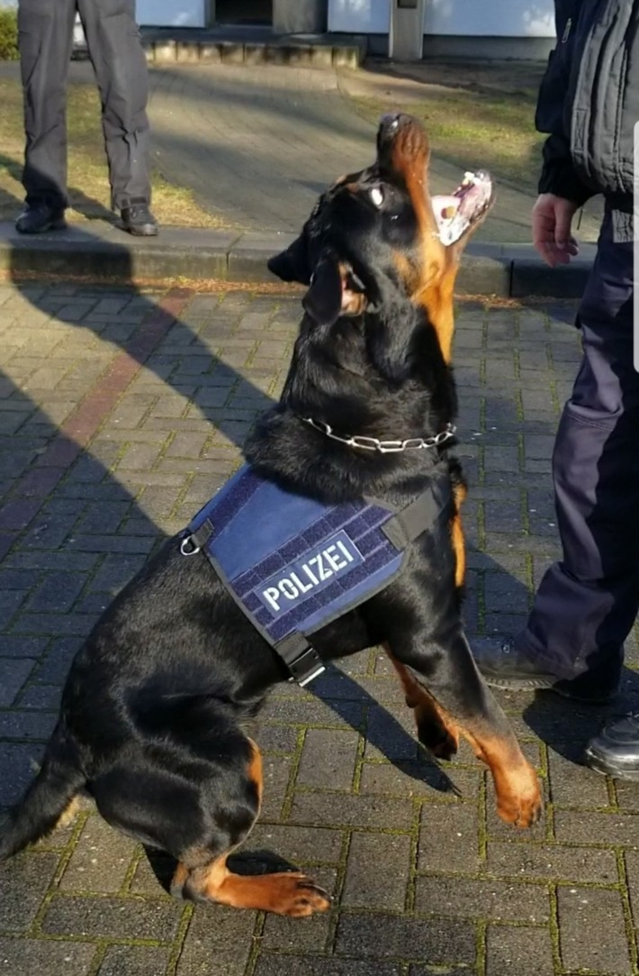 POL-SE: Elmshorn - Festnahme nach Einbruch in Werkhalle - Diensthund "Murphy" stellt dritten Tatverdächtigen