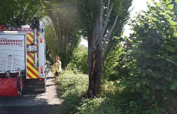 POL-DEL: Landkreis Oldenburg: Zeugen gesucht zu Brand an Baum in Harpstedt