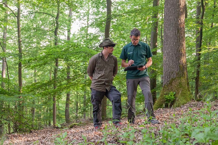 Neu: FSC Deutschland startet Wald-Bonus-Programm - Finanzielle Anreize sollen Erstzertifizierungen erleichtern