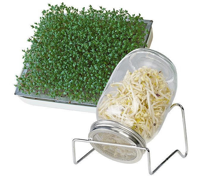 Royal Gardineer Keimglas mit Metall-Ständer, Kressesieb und Keramik-Auffangschale, 1 l: Eigenen Sprossen selbst ziehen - ideal für Salate, Suppen &amp; als Brotbelag