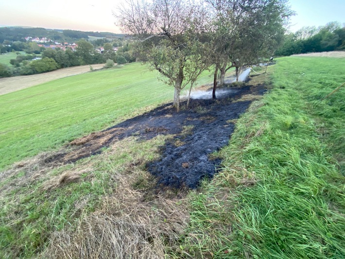 POL-PDKL: Dornenhecke in Brand gesetzt