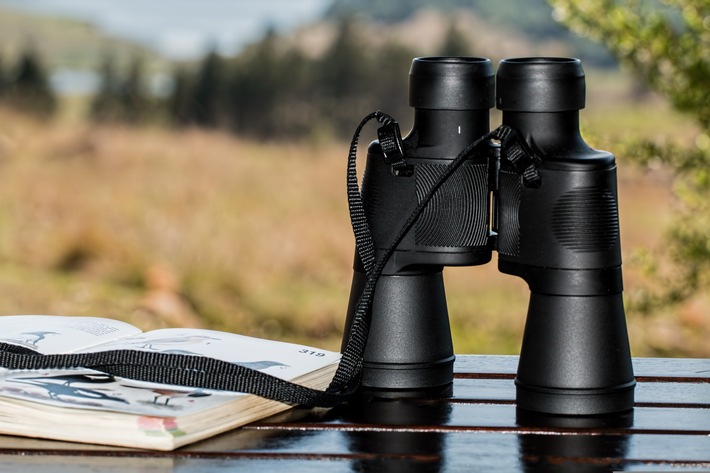 ++ BUND-Ökotipp | Vögel beobachten: Mit diesen drei Tipps klappt das Birdwatching ++