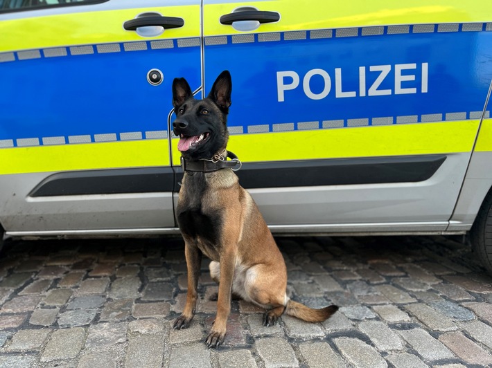 POL-HH: 260730-1. Sieben Zuführungen nach Einbruch in eine Lagerhalle in Hamburg-Wilhelmsburg