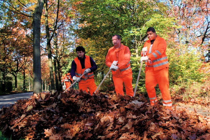 VKU zur Laubentsorgung / Der große Herbstputz läuft auf vollen Touren (BILD)