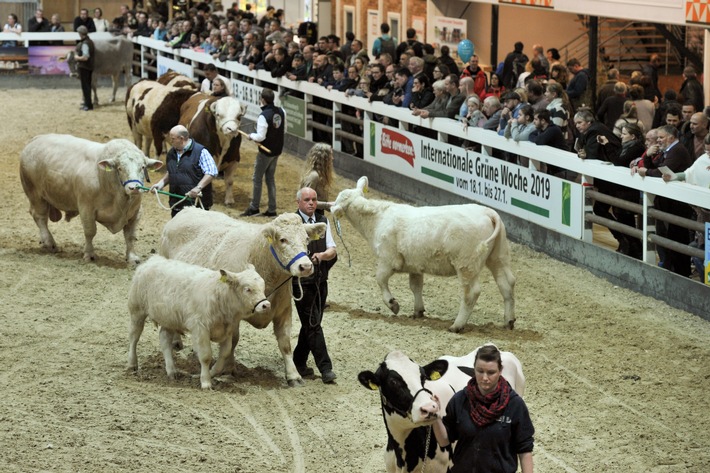 Tierisch was los auf der Grünen Woche 2019 / In den Hallen 25 und 26 wird es quicklebendig mit beliebten und seltenen Haus- und Heimtieren