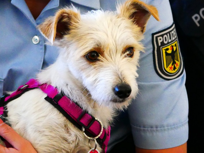 BPOL NRW: Dank Steuermarke - Bundespolizei vereint Hund und Frauchen