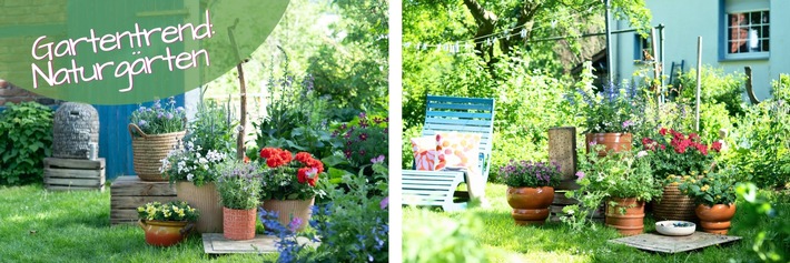 Kreative Naturgärten mit Geranien: Nachhaltig, farbenfroh und mit viel DIY-Flair