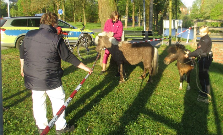 POL-STD: Zwei Ponys büxen in Stade aus - Polizei kann sie nach kurzer Fahndung vorläufig "festnehmen" und den Besitzern übergeben