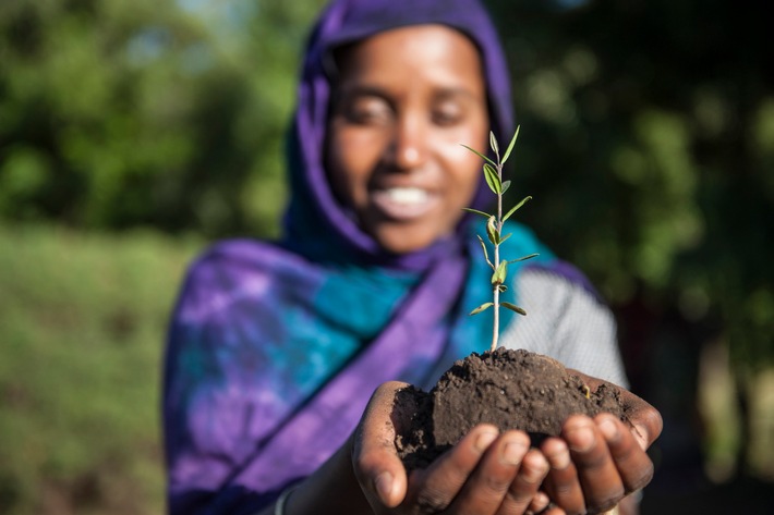 Stiftung Menschen für Menschen startet Kampagne: Zwei Millionen neue Baumsetzlinge für Äthiopien bis Weihnachten