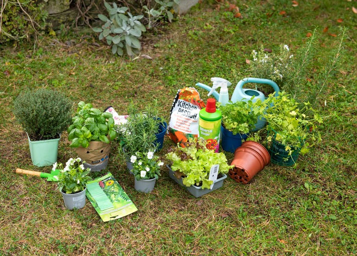 Endlich Frühling: Tipps zum Start in die Gartensaison / Gartenabfälle, Pflanztöpfe &amp; Co. umweltfreundlich entsorgen