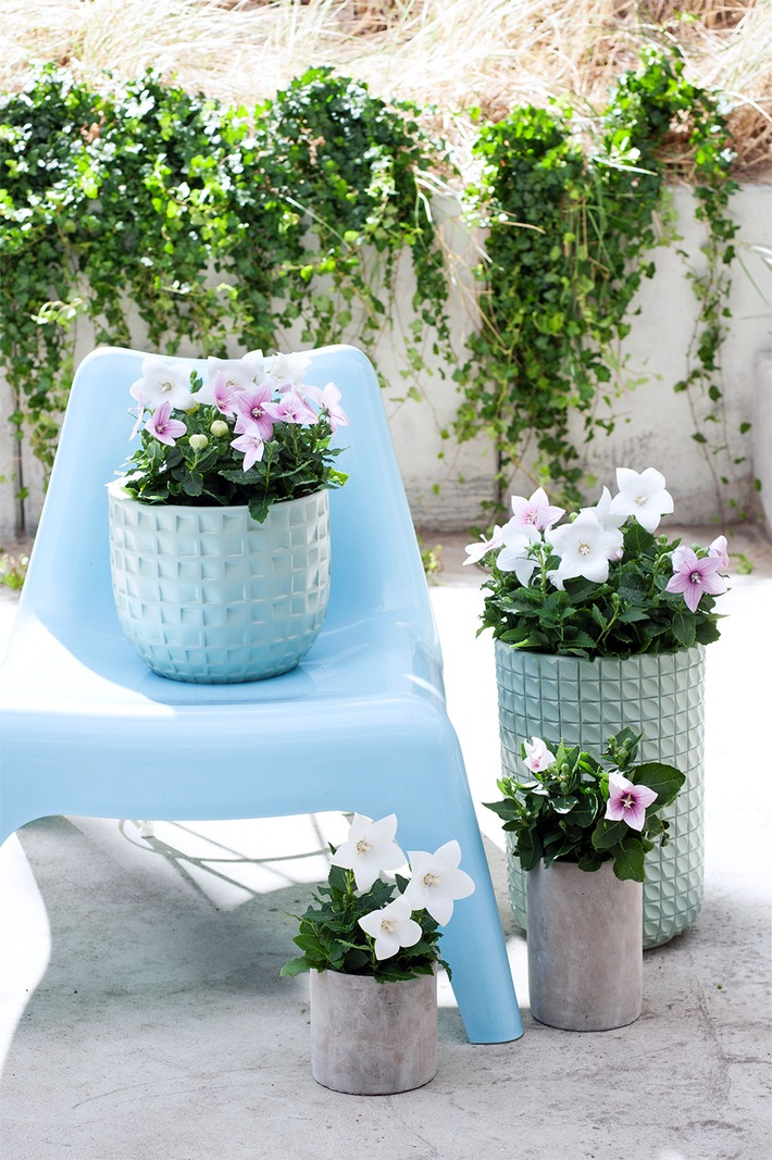 Die besten Pflanztöpfe für den Sommer / Inspiration für Balkon und Terrasse