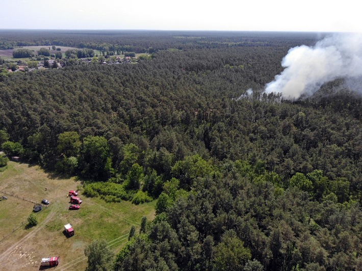 FW Lüchow-Dannenberg: Erster Waldbrand des Jahres beschäftigt über 120 Einsatzkräfte in der Region Gartow (Ldkrs. Lüchow-Dannenberg) +++ Brand trotz unwegsamen Geländes schnell unter Kontrolle