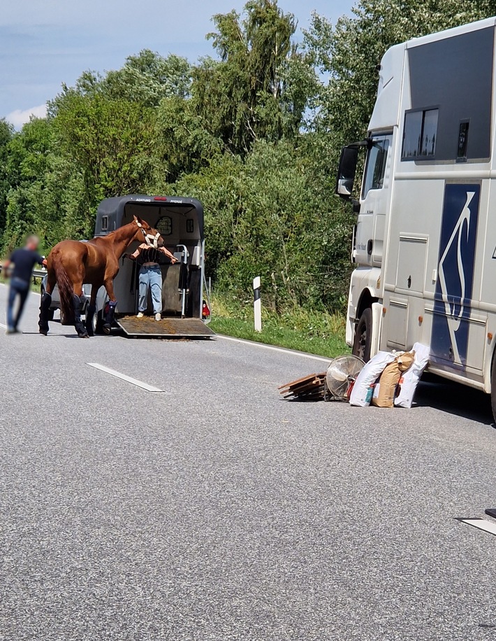 POL-HL: Ostholstein - Neustadt in Holstein / Pferdetransporter gerät an Leitplanke - Aufregender Einsatz auf der Autobahn