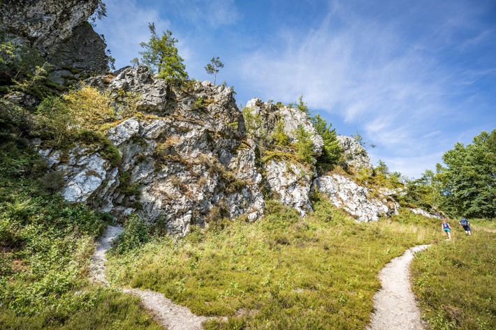 Nachhaltig reisen in den Bayerischen Wald / Urlaub auf dem "Grünen Dach Europas"