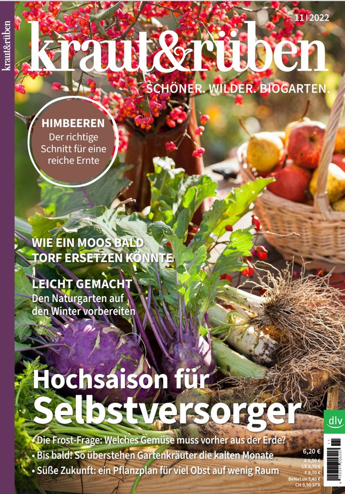 Wie kann ich mich auch im Winter gesund und regional ernähren? Tipps zur Selbstversorgung mit Obst und Gemüse