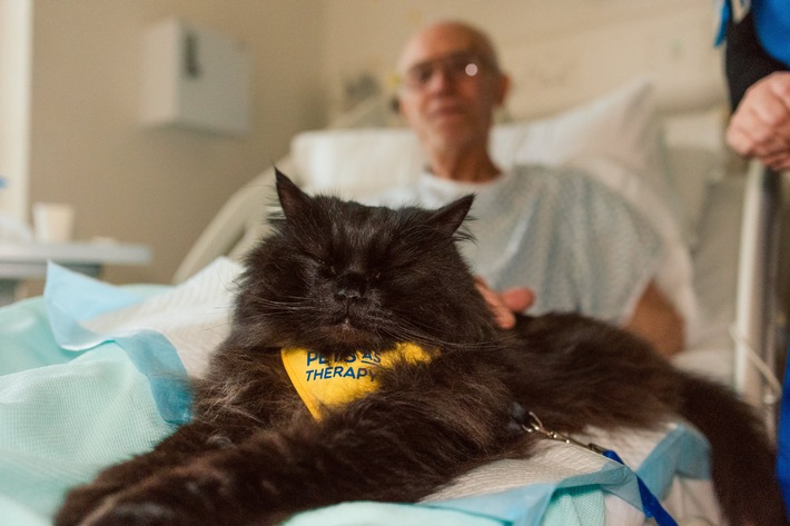PURINA verleiht zum vierten Mal den BetterwithPets Prize und fördert Organisationen, die sich der Kraft der Mensch-Tier-Beziehung widmen