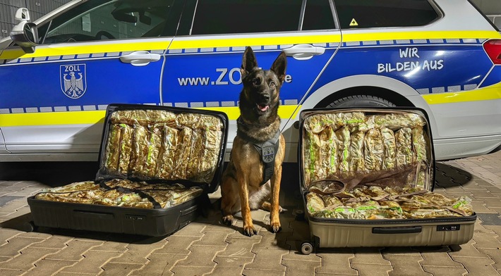 HZA-BI: Zollhündin &quot;Skadi&quot; erschnüffelt 22 Kilo Marihuana in zwei Koffern/Bielefelder Zoll landet bei Kontrolle eines Reisebusses auf der A2 einen &quot;Volltreffer&quot;