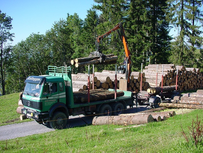 ASTAG: Effizienter Abtransport von "Lothar"-Holz
