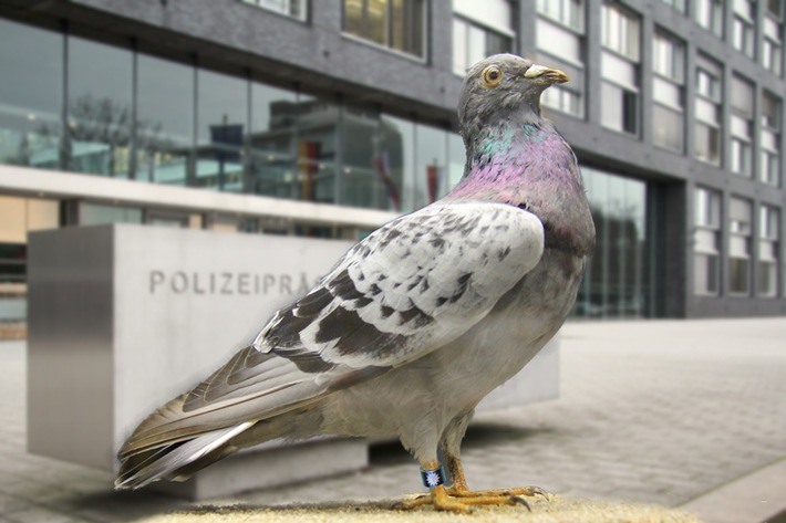 POL-F: 210928 - 1188 Frankfurt: Lehrmittelsammlung im Polizeipräsidium stellt Ausstellungsstück "Charly"