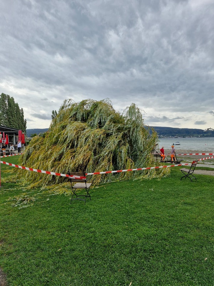 FW Reichenau: Baum auf Liegewiese gestürzt - 28.08.2026