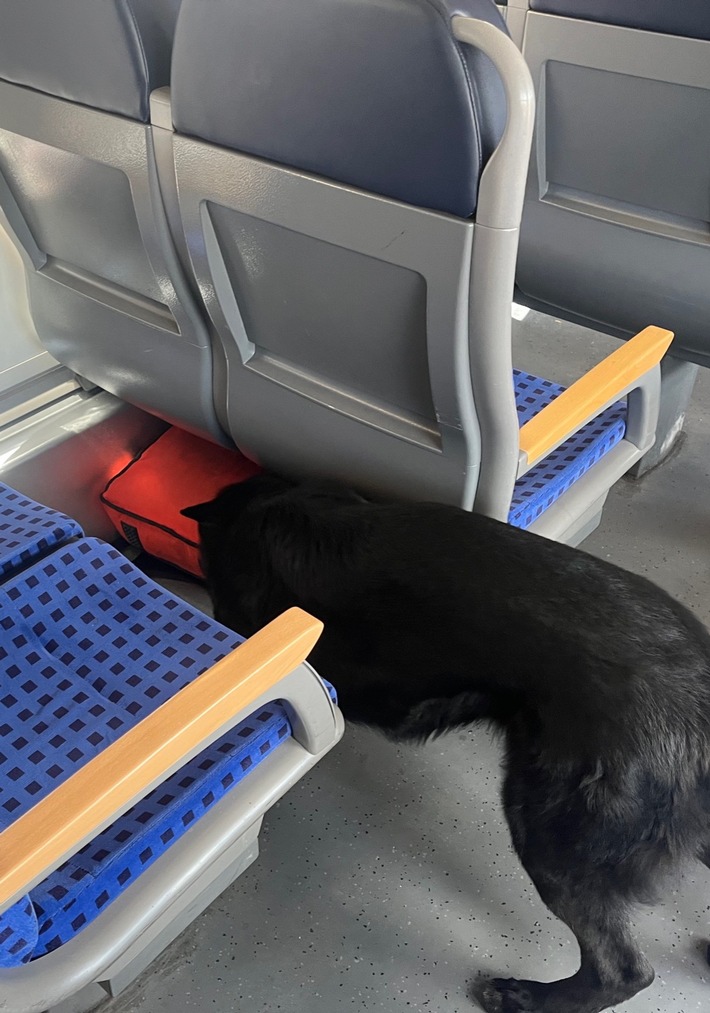 BPOLI MD: Herrenlose Gepäckstücke im Regionalexpress - Einsatz für Sprengstoffspürhund