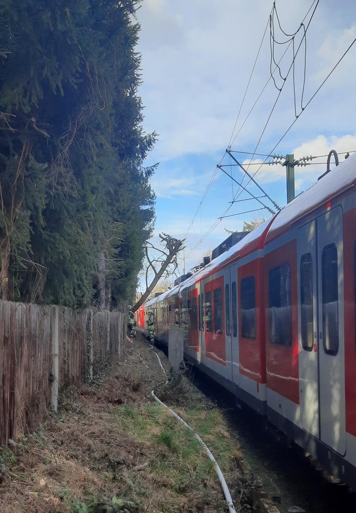 Bundespolizeidirektion München: Baum stürzt auf S-Bahn / Unwetter beeinträchtigt Bahnverkehr