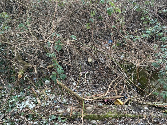 POL-PPMZ: Worms - Ermittlungen nach Knochenfund