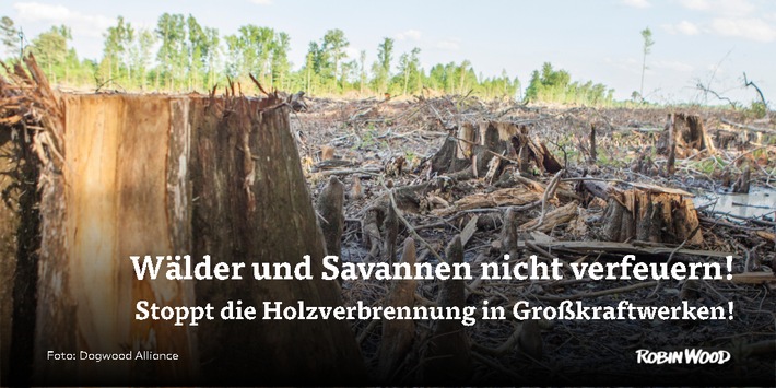 Holz statt Kohle? Klimaschwindel bei der Energiewende nicht fördern!