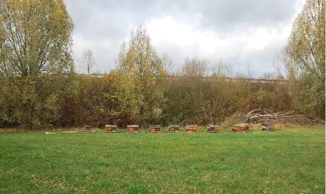 POL-GÖ: (456/2020) Sieben Bienenvölker in Rosdorf entwendet - Geschädigter setzt 750 Euro Belohnung aus