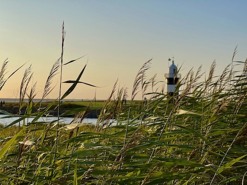 Nordsee Tourismus Report: 8,1 Mio. Marktpotenzial: Nachhaltigkeit an der Nordsee lohnt sich