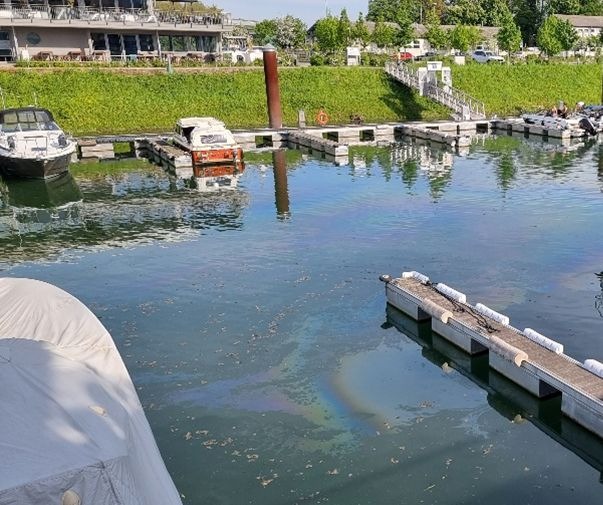 PP-ELT: Gewässerverunreinigung im Yachthafen Speyer - Zeugen gesucht