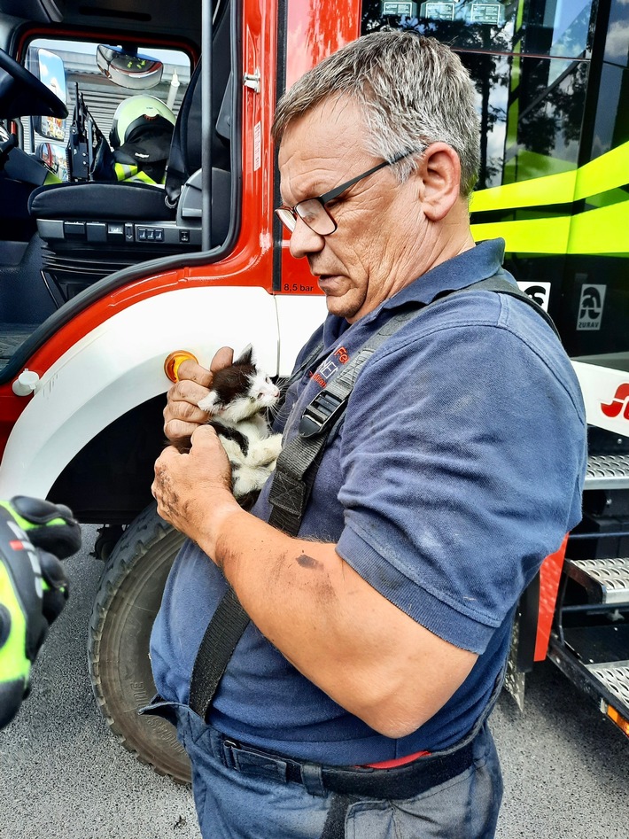 FW Kranenburg: Katze im Motorraum