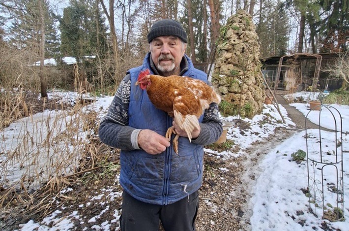 Tierische Marotte: entlaufenes Huhn "Henrietta" trampt gern / Gerhard Wendl vom Vogelnotruf in Olching im Gespräch mit SWR3 / Happy End: Besitzerin identifiziert Huhn mittels Fotovergleich