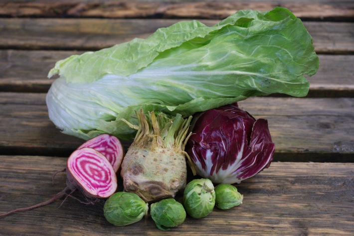 Mit Bio-Wintergem&uuml;se fit durch die kalte Jahreszeit