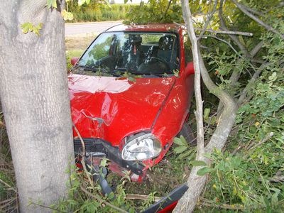 POL-PDNW: Gegen Baum geprallt