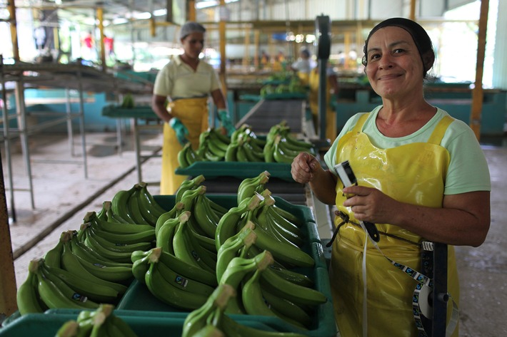 Jahresergebnis 2015 der Max Havelaar-Stiftung (Schweiz) / Schweizerinnen und Schweizer kaufen für über 500 Millionen Franken Fairtrade-Produkte