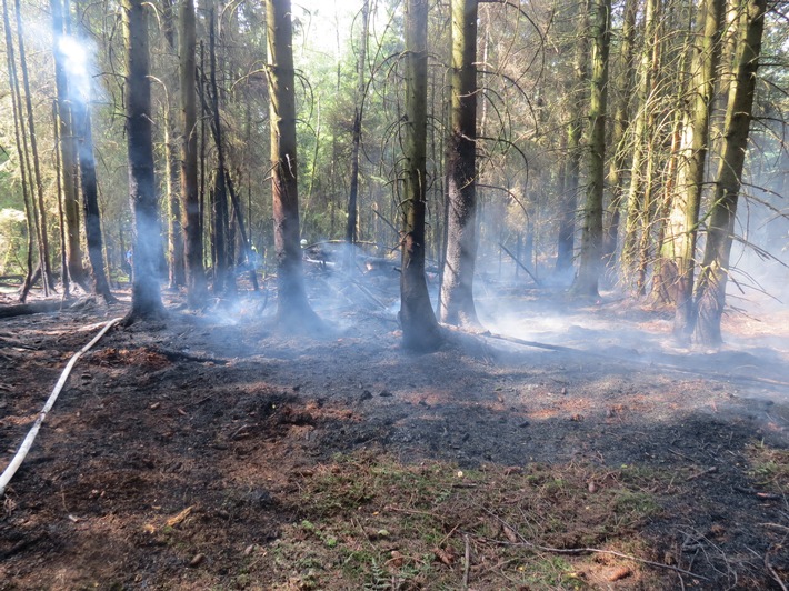 POL-PDWIL: Brand in einem Waldstück am Schwarzen Mann 
Schnelles Eingreifen der örtlichen Wehren verhindert Schlimmeres
