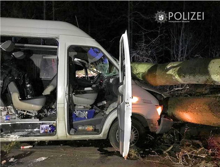 POL-PPWP: Transporter prallt gegen umgestürzten Baum