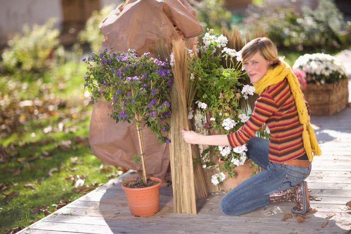 Winterschutz statt Gartenfrust / toom Baumarkt gibt Tipps, wie Pflanzen, Gartenmöbel und Wildtiere gut geschützt durch den Winter kommen (BILD)