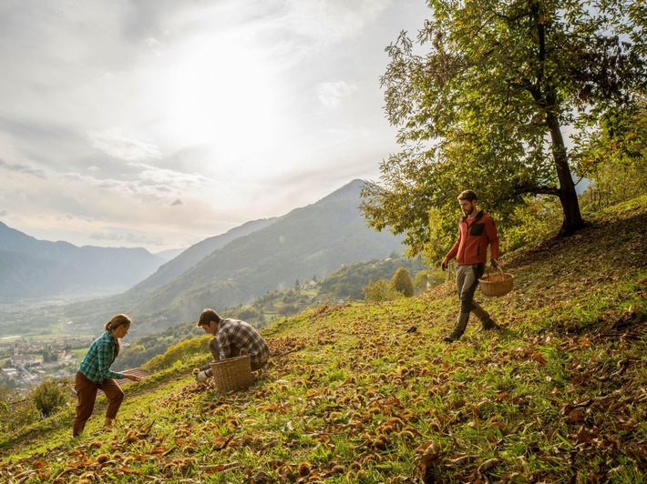 Events im herbstlichen Trentino