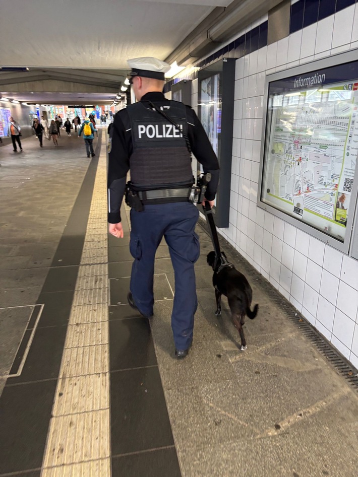 Bundespolizeidirektion München: Tierischer Einsatz für die Bundespolizei - "Chicka" allein in München