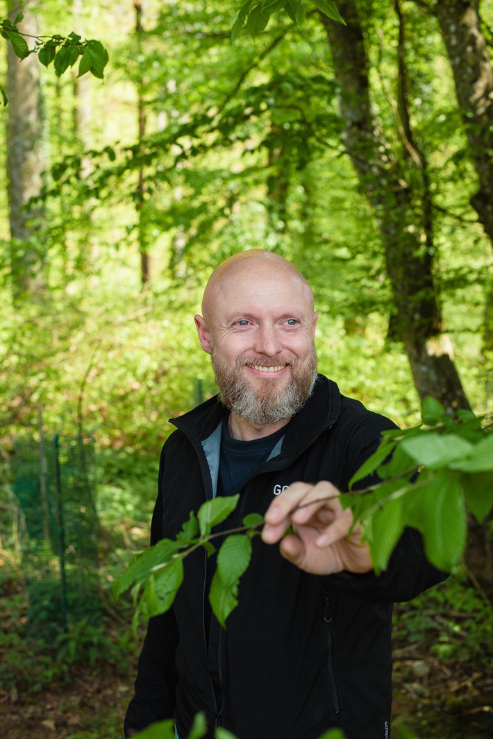 Für die Urwälder von morgen / GREEN FOREST FUND gibt der Natur eine Chance